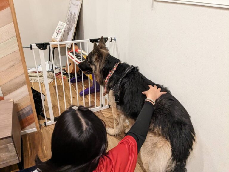 友だちの家で玄関へ続く扉の前に座るトビ
